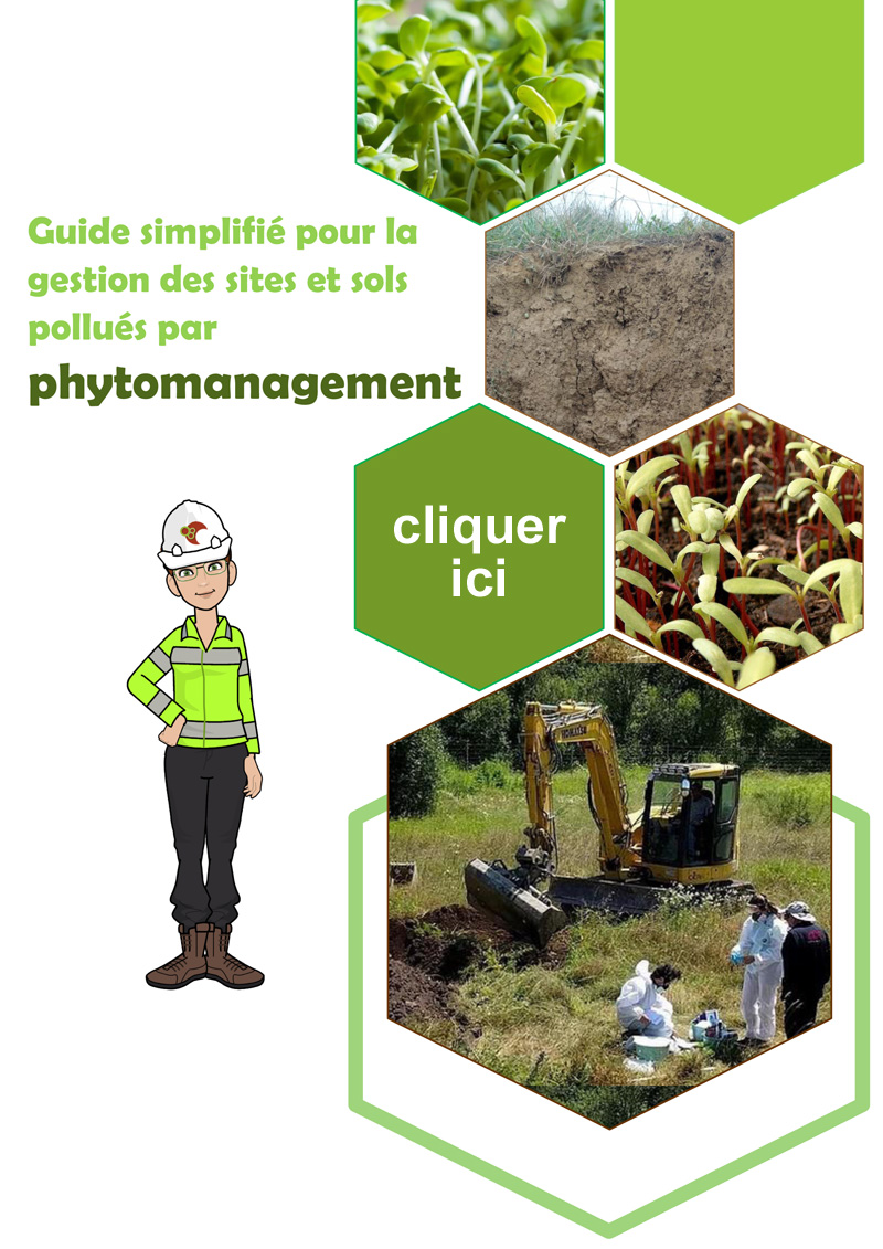 Guide de la phytoremediation